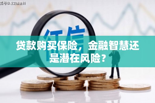 北市贷款购买保险，金融智慧还是潜在风险？
