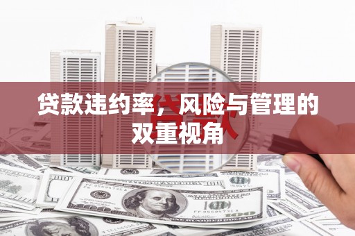 北市贷款违约率，风险与管理的双重视角
