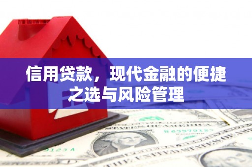 北市信用贷款，现代金融的便捷之选与风险管理