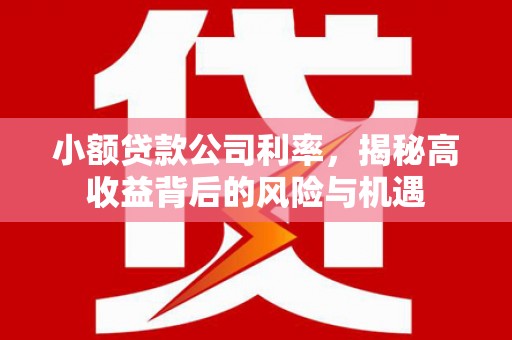 北市小额贷款公司利率，揭秘高收益背后的风险与机遇