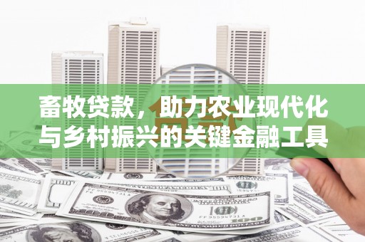 北市畜牧贷款，助力农业现代化与乡村振兴的关键金融工具
