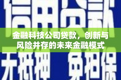 北市金融科技公司贷款，创新与风险并存的未来金融模式