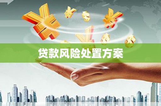 北市贷款风险处置方案