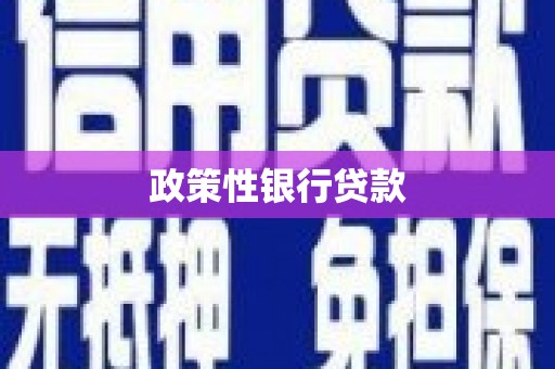 北市政策性银行贷款