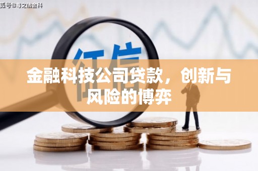 北市金融科技公司贷款，创新与风险的博弈