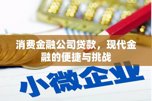 北市消费金融公司贷款，现代金融的便捷与挑战