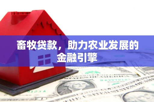 北市畜牧贷款，助力农业发展的金融引擎