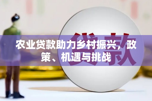 北市农业贷款助力乡村振兴，政策、机遇与挑战