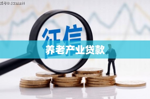 北市养老产业贷款