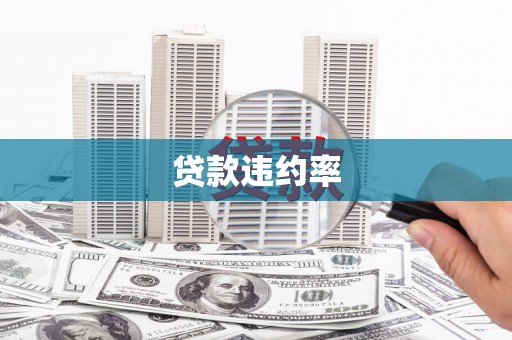 北市贷款违约率