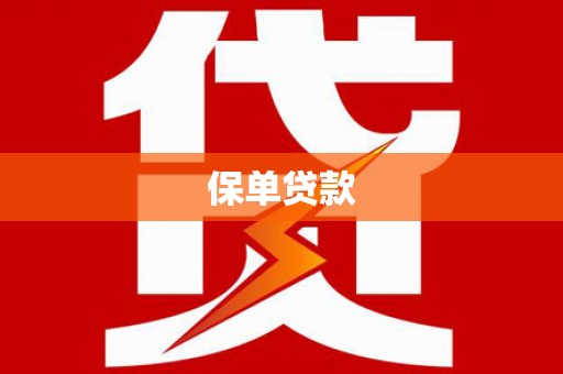 北市保单贷款