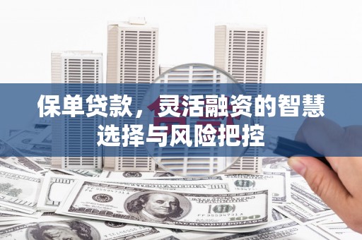 北市保单贷款，灵活融资的智慧选择与风险把控