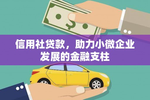 北市信用社贷款，助力小微企业发展的金融支柱