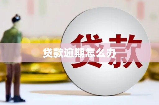 北市贷款逾期怎么办
