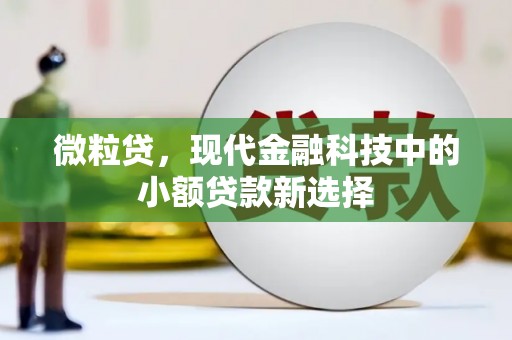 北市微粒贷，现代金融科技中的小额贷款新选择