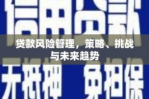 北市贷款风险管理，策略、挑战与未来趋势