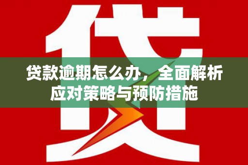 北市贷款逾期怎么办，全面解析应对策略与预防措施