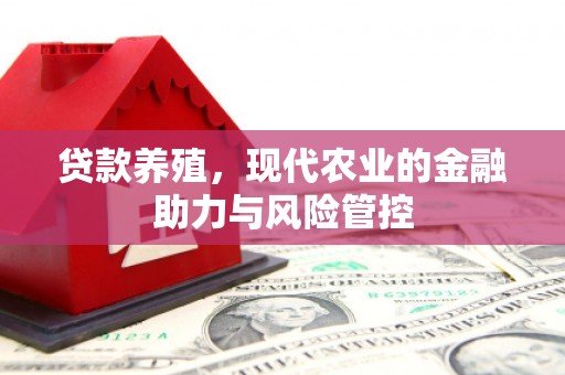 北市贷款养殖，现代农业的金融助力与风险管控