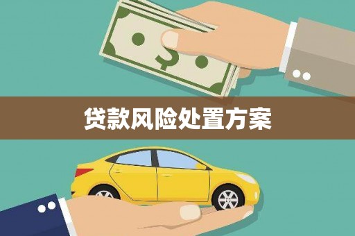 北市贷款风险处置方案