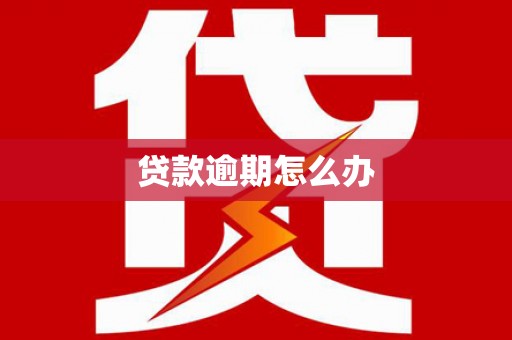 北市贷款逾期怎么办