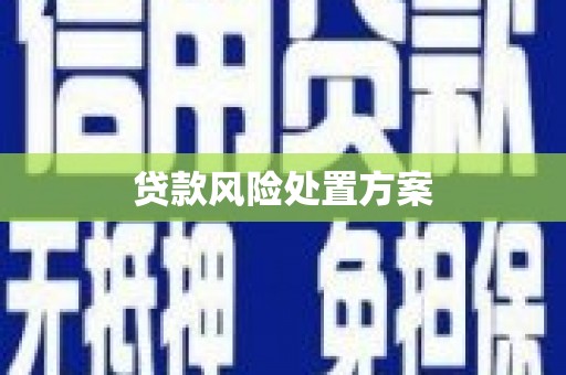 北市贷款风险处置方案