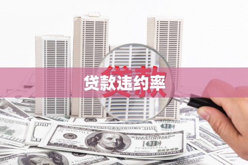 北市贷款违约率