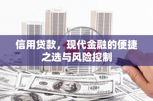 北市信用贷款，现代金融的便捷之选与风险控制