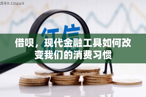 北市借呗，现代金融工具如何改变我们的消费习惯