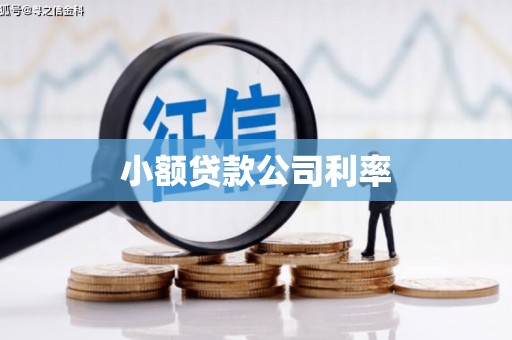 北市小额贷款公司利率