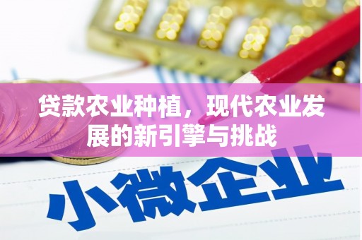 北市贷款农业种植，现代农业发展的新引擎与挑战