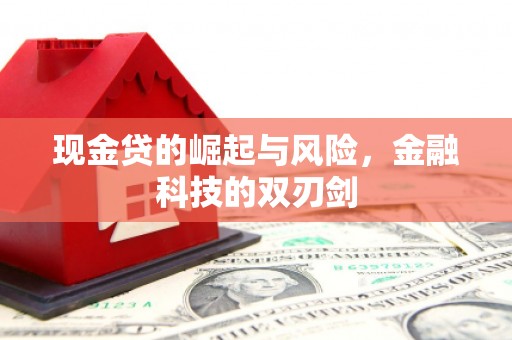 北市现金贷的崛起与风险，金融科技的双刃剑