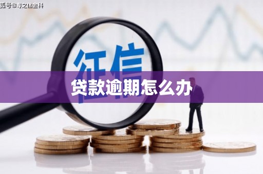 北市贷款逾期怎么办