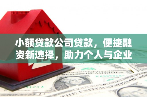 北市小额贷款公司贷款，便捷融资新选择，助力个人与企业成长