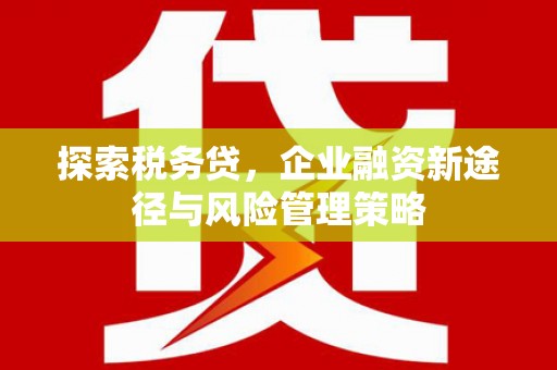 北市探索税务贷，企业融资新途径与风险管理策略