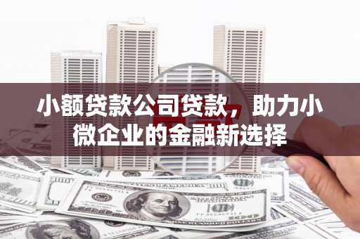 北市小额贷款公司贷款，助力小微企业的金融新选择