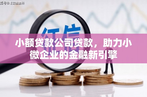北市小额贷款公司贷款，助力小微企业的金融新引擎