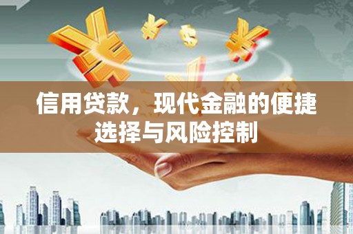 北市信用贷款，现代金融的便捷选择与风险控制