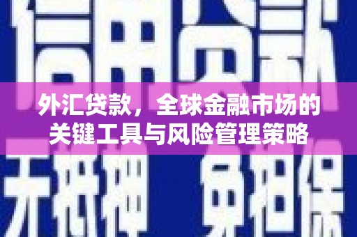 北市外汇贷款，全球金融市场的关键工具与风险管理策略