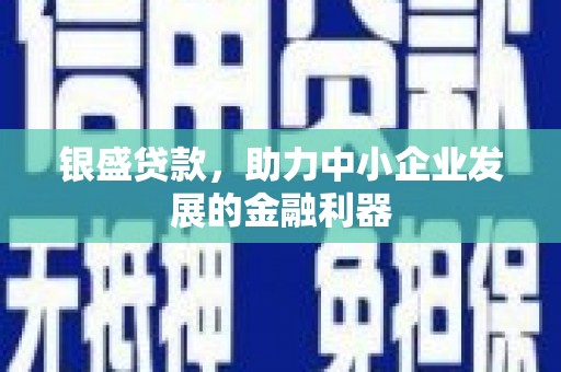 北市银盛贷款，助力中小企业发展的金融利器