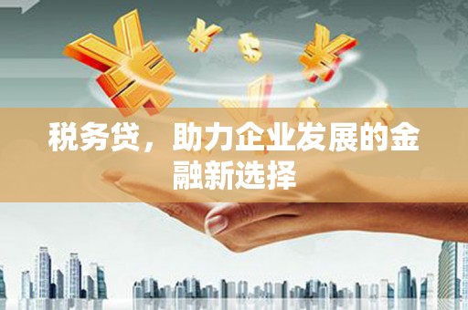 北市税务贷，助力企业发展的金融新选择