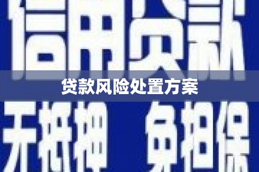 北市贷款风险处置方案
