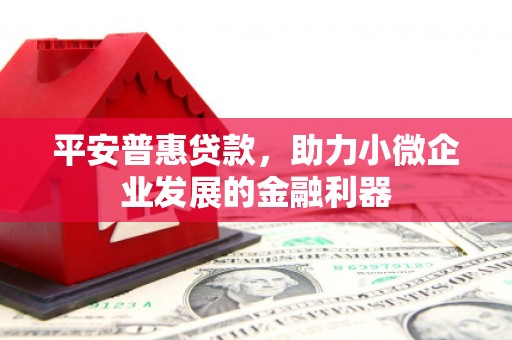 北市平安普惠贷款，助力小微企业发展的金融利器