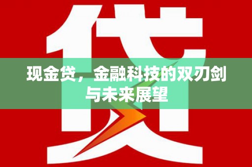 北市现金贷，金融科技的双刃剑与未来展望