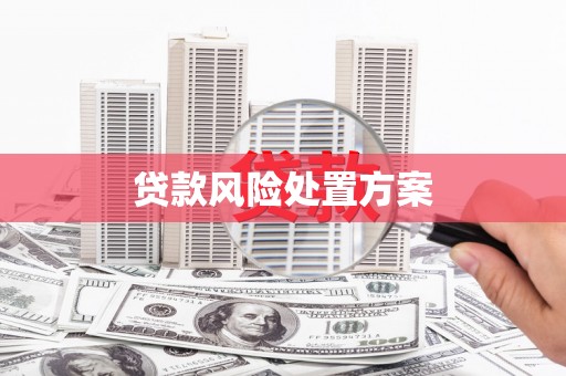 北市贷款风险处置方案