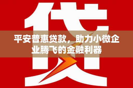 北市平安普惠贷款，助力小微企业腾飞的金融利器