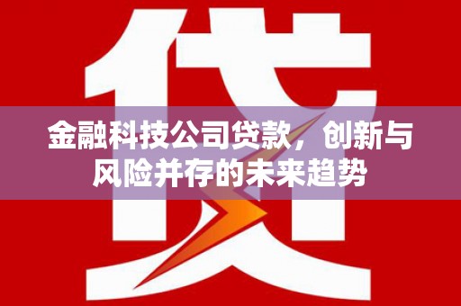 北市金融科技公司贷款，创新与风险并存的未来趋势