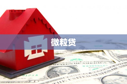 北市微粒贷