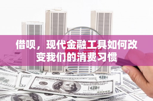 北市借呗，现代金融工具如何改变我们的消费习惯