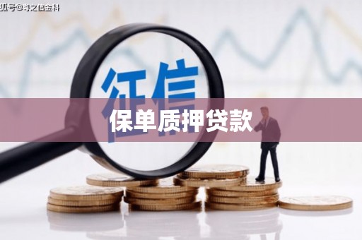 北市保单质押贷款