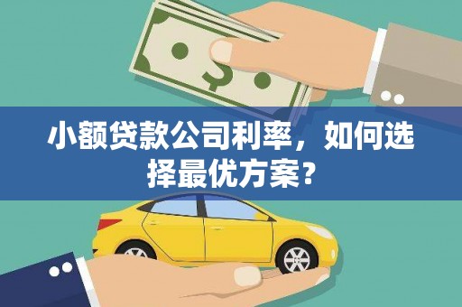 北市小额贷款公司利率，如何选择最优方案？